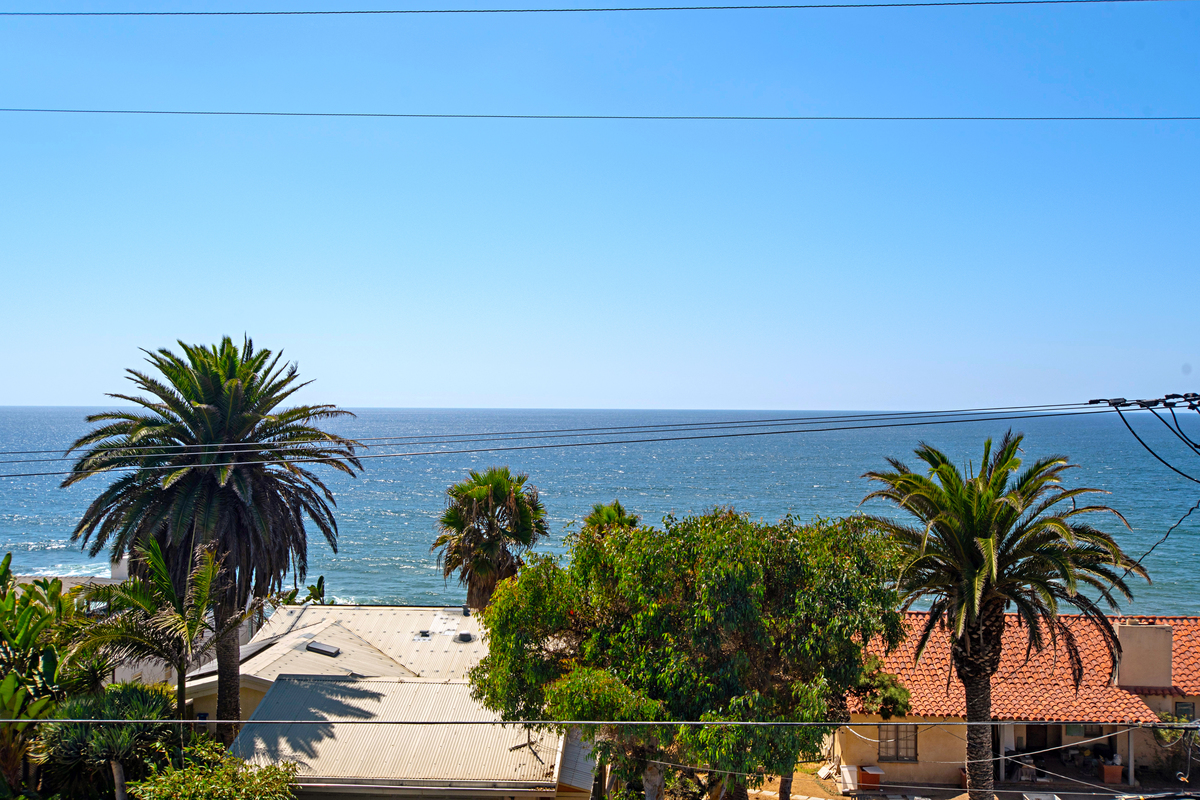 weekes2018web2.jpg (45746 bytes)